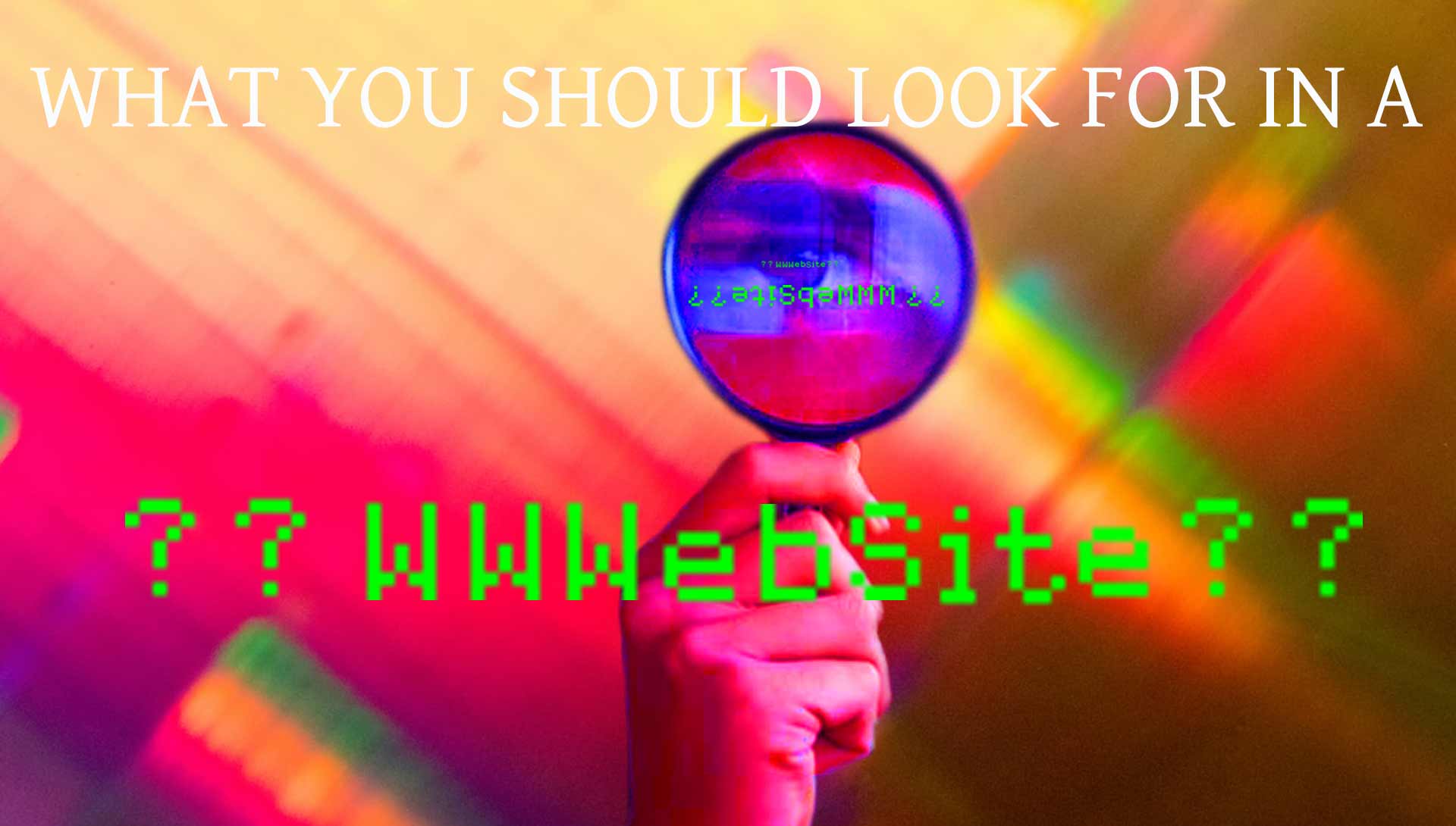 What You Should Look For In A Website